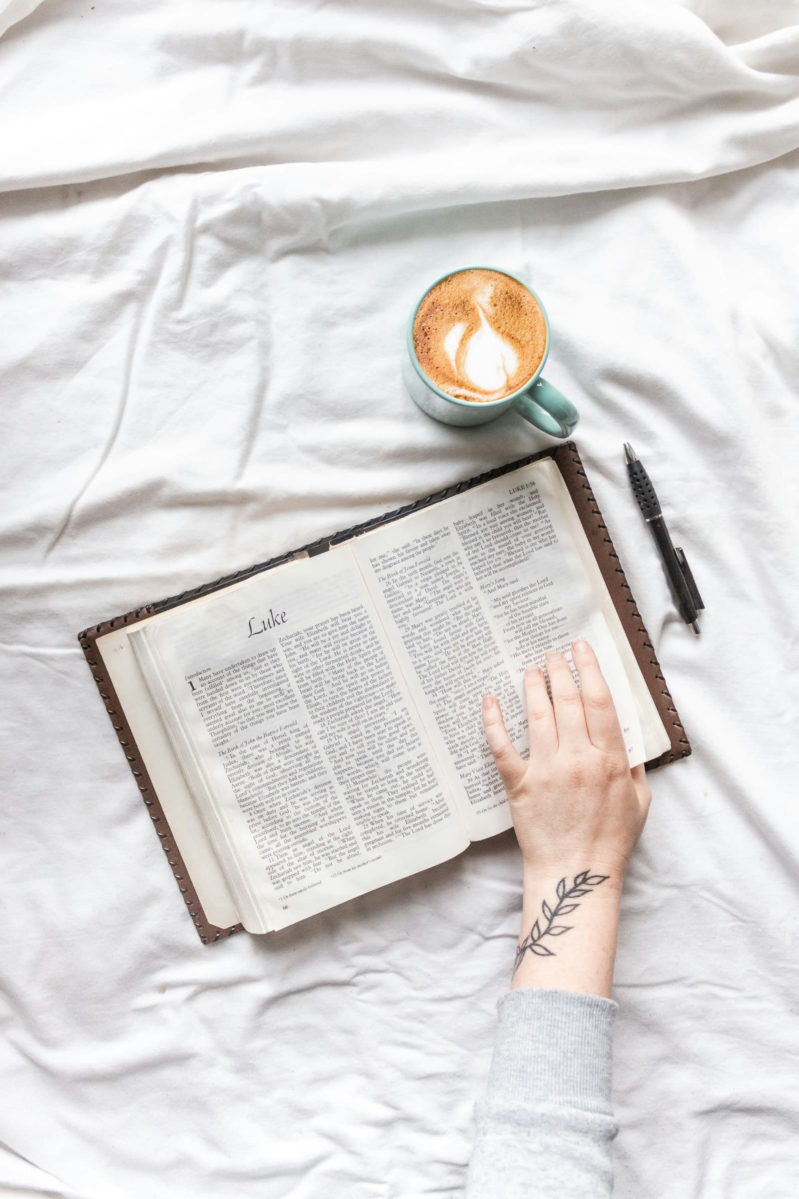 An open Bible in peaceful morning light